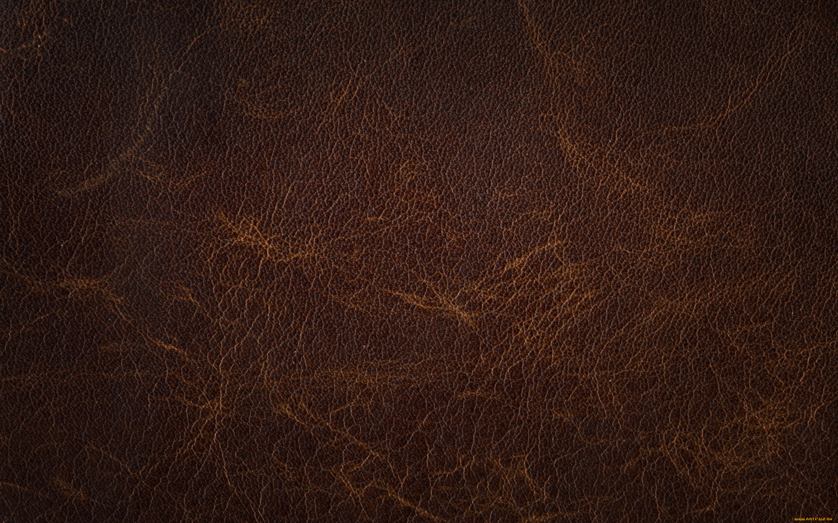 , , , texture, skin, leather